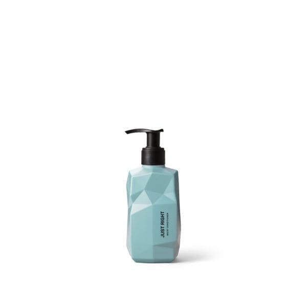 JUST RIGHT MOIST CONDITIONER 300 ml Drėkinantis kondicionierius